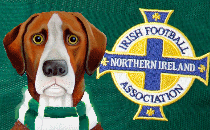 Northern Ireland News 